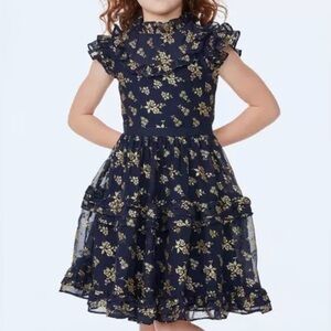 Janie and Jack Dark Marine Floral The Sparkle Holiday Dress Navy Gold Glitter